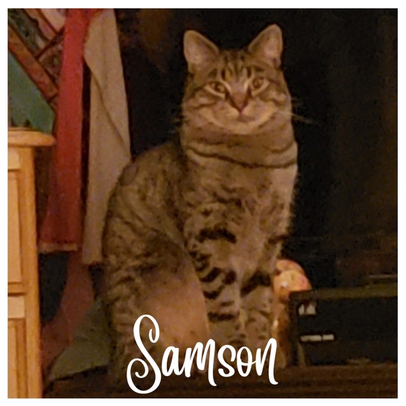 Meet your Posher, Angela - Picture 5 of 16